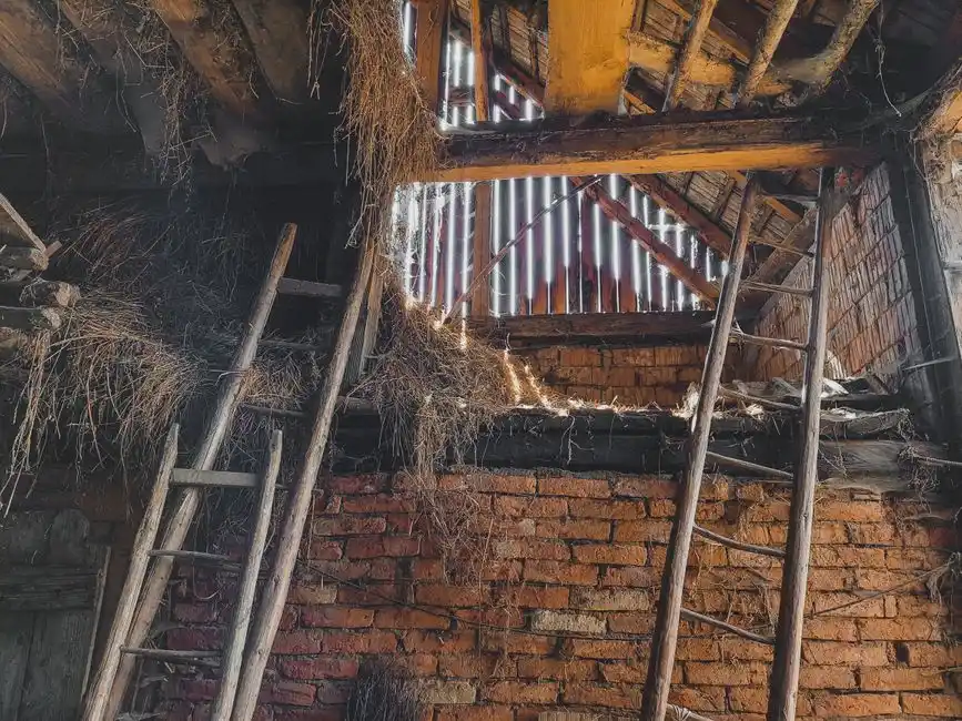 How much does spray foam insulation removal cost in London?
